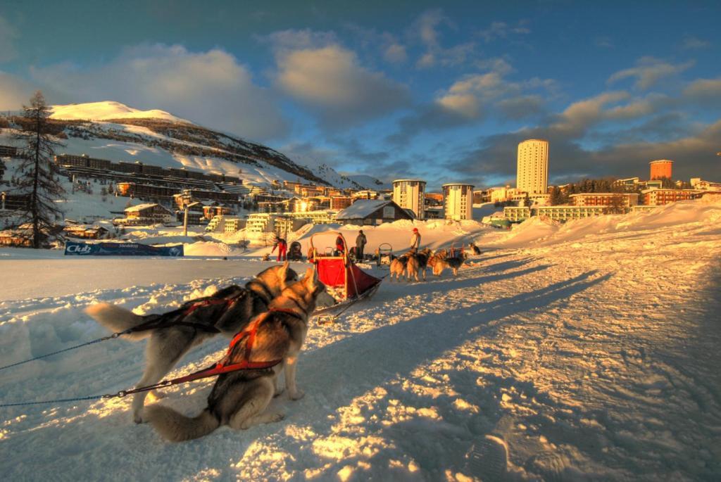Il Fraitevino Hotel Bed & Breakfast Colle Colle Sestriere Dış mekan fotoğraf